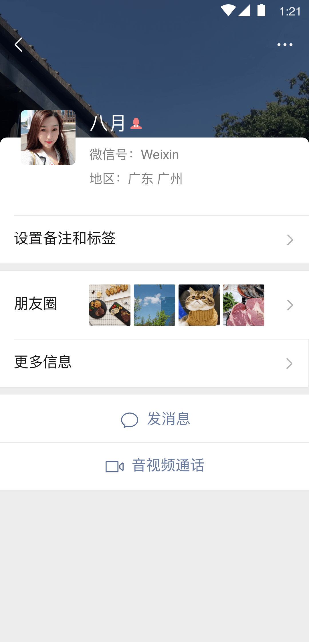 体育馆sp截图